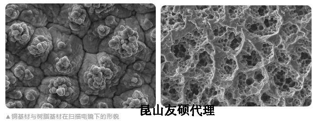 固原蔡司固原扫描电镜